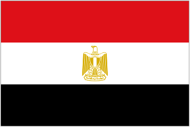 منح الجنسية المصرية لـ621 فلسطينيا من أبناء أمهات مصريات
