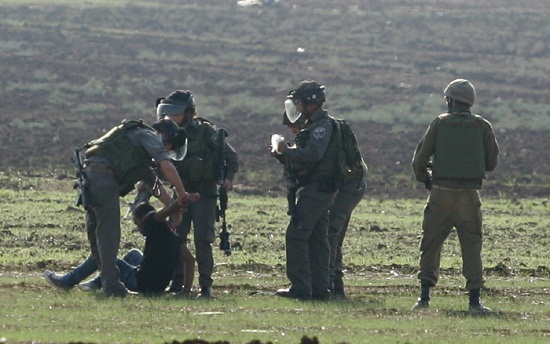 تقرير: الاستيلاء على 370 دونما واعتقال 460 مواطنا خلال الشهر الماضي