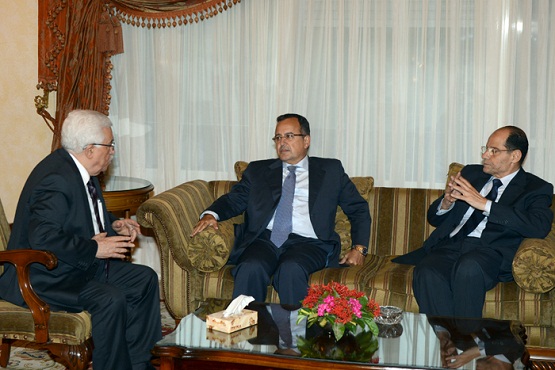 الرئيس يستقبل وزير خارجية مصر