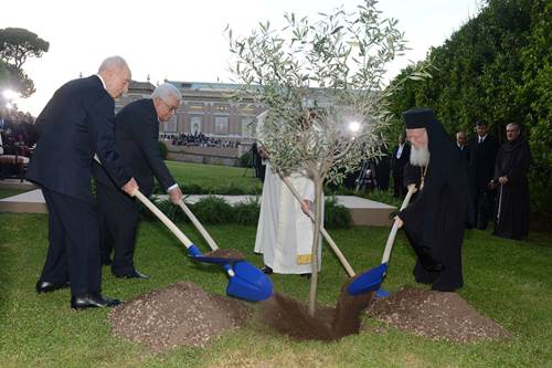الرئيس والبابا وبيريز يزرعون شجرة زيتون في الفاتيكان