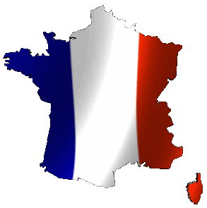 الرئيس الفرنسي يؤكد للرئيس دعم بلاده للحكومة