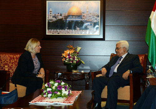 الرئيس يستقبل القنصل العام السويدي