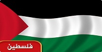 رفع العلم الفلسطيني في أعماق المحيط الهندي