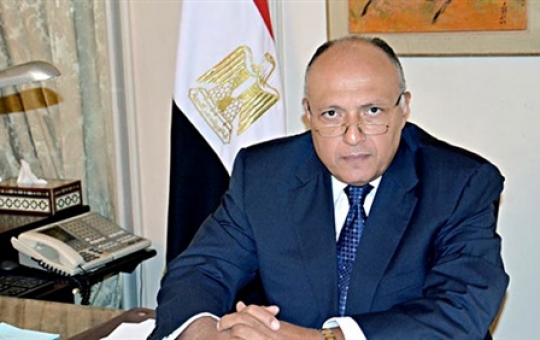 وزيرا خارجية مصر والأردن يبحثا التصعيد الإسرائيلي