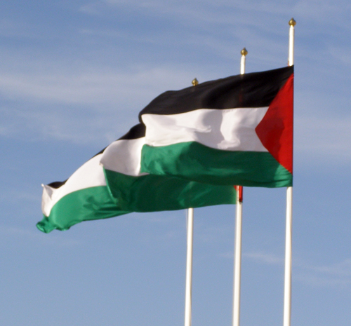 القوى والفصائل ترحب بقرار رفع علم فلسطين في الأمم المتحدة