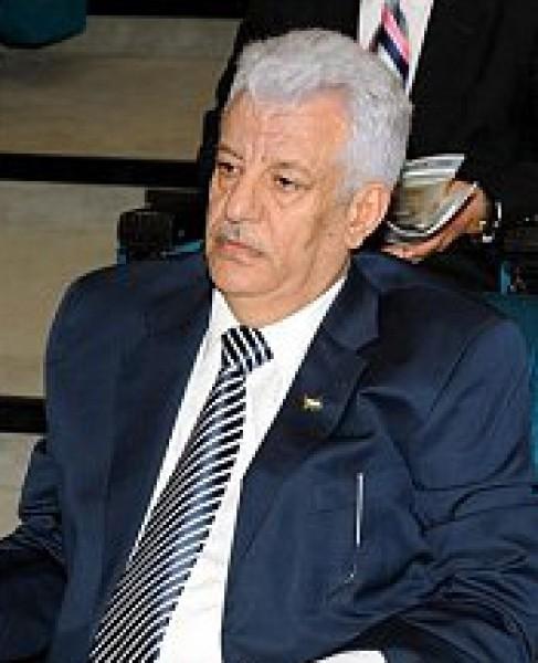 الشوبكي: اجتماع الجامعة العربية مع مجلس الأمن سيركز على القضية الفلسطينية