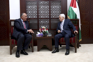 الرئيس يستقبل وزير الخارجية المصري