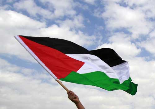 رفع العلم الفلسطيني على مجلس دبلن الايرلندي