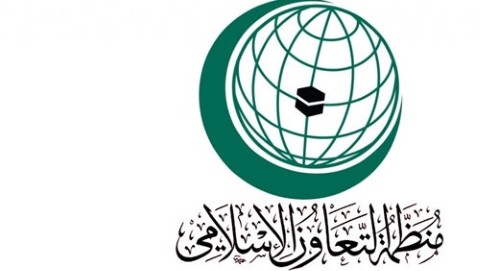 العثيمين: صندوق التضامن الإسلامي سيواصل دعمه للشعب الفلسطيني ونضاله