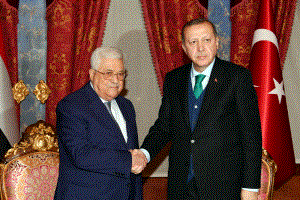 الرئيس يجتمع مع أردوغان