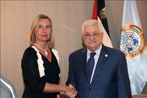 الرئيس يلتقي الممثلة العليا للاتحاد الأوروبي