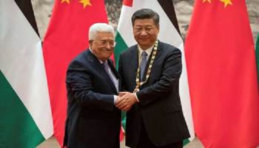الرئيس الصيني: القضية الفلسطينية تتطلب حلاً جذرياً يستند لحل الدولتين