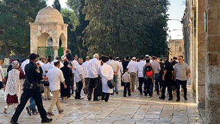 مستوطنون يقتحمون "الأقصى"