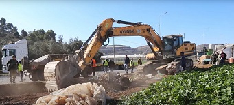 تواصل انتهاكات الاحتلال: شهيد وإصابات واعتقالات واقتحام الأقصى