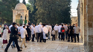 مستوطنون يقتحمون "الأقصى"