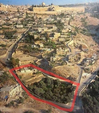 القدس: مستوطنون يستولون على 5 دونمات في واد حلوة والاحتلال يعتقل ثلاثة شبان