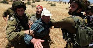 الاحتلال يستولي على 70 دونما جنوب قلقيلية لصالح التوسع الاستيطاني