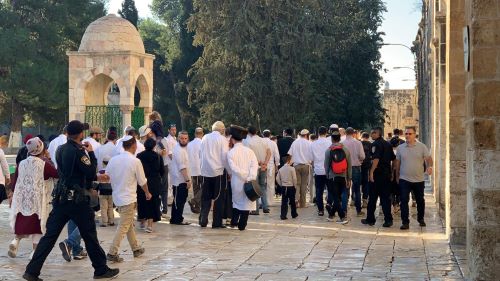 مستوطنون يقتحمون المسجد الأقصى