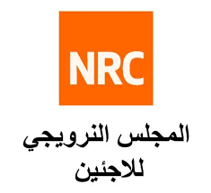 المجلس النرويجي للاجئين: ضربات الاحتلال على منطقة المواصي تُظهر أن "المناطق الإنسانية" مجرد اسم فقط