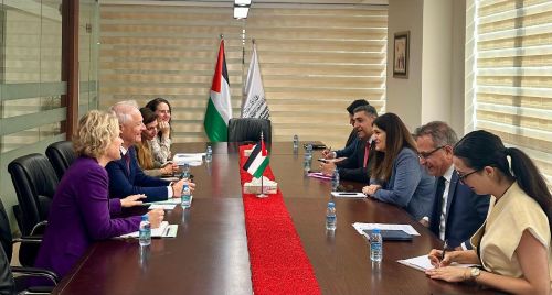 شاهين تبحث مع وفد سوسيري التطورات السياسية وجهود الإصلاح