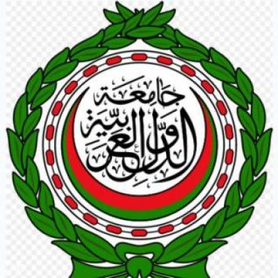 الجامعة العربية تعد ملفا قانونيا لدعم توجه فلسطين للأمم المتحدة