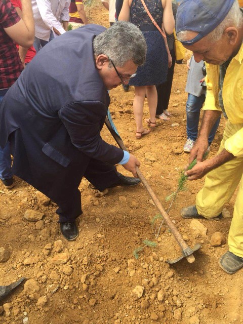 لبنان: شجرة بإسم فلسطين في غابة الشبيبة للسلام