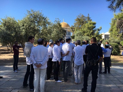 43 مستوطنا يقتحمون المسجد الاقصى