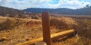 مستوطنون يقطعون أعمدة كهرباء بين قصرة وجالود