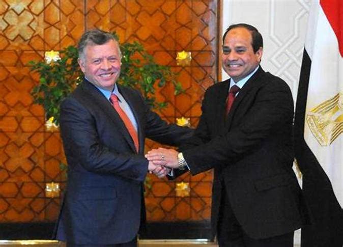 العاهل الأردني والرئيس السيسي يدعوان لوقف شامل لإطلاق النار في غزة